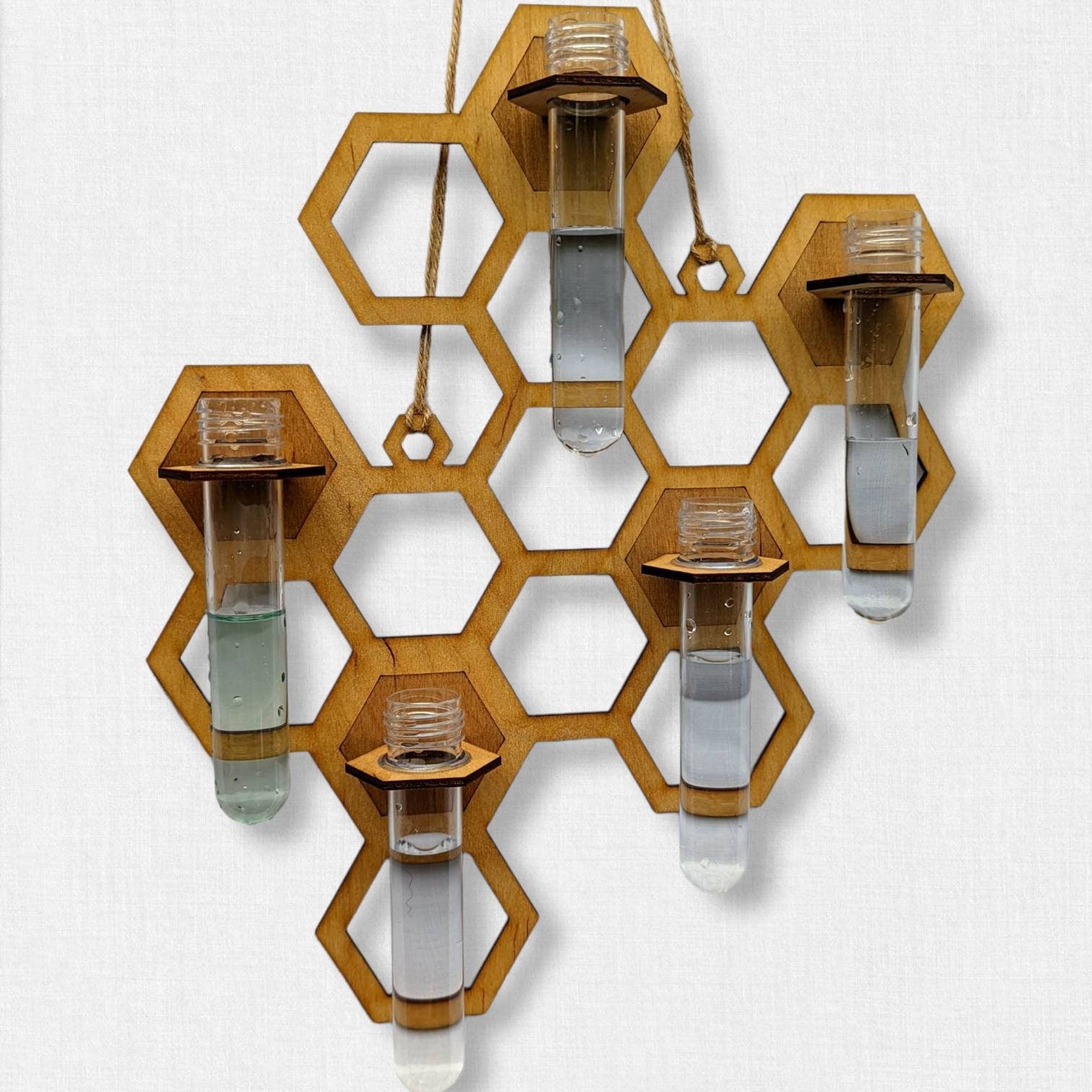 Honeycomb wall hanging propagation station. Minimalist gift for mom. Gift for sister. Hanging vase. Wildflower, small House plants bees